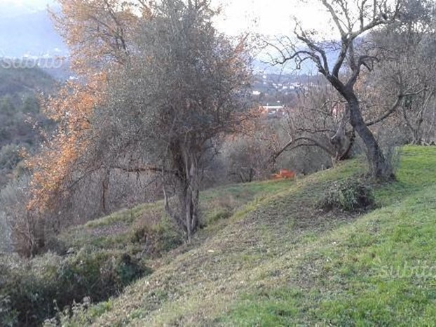 Casa Indipendente in Vendita a Bolano, 