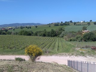 Attività commerciale in Vendita a Gualdo Cattaneo, 3'500'000€, 