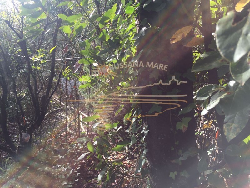 Terreno agricolo in Vendita a Sanremo, 43'000€, 