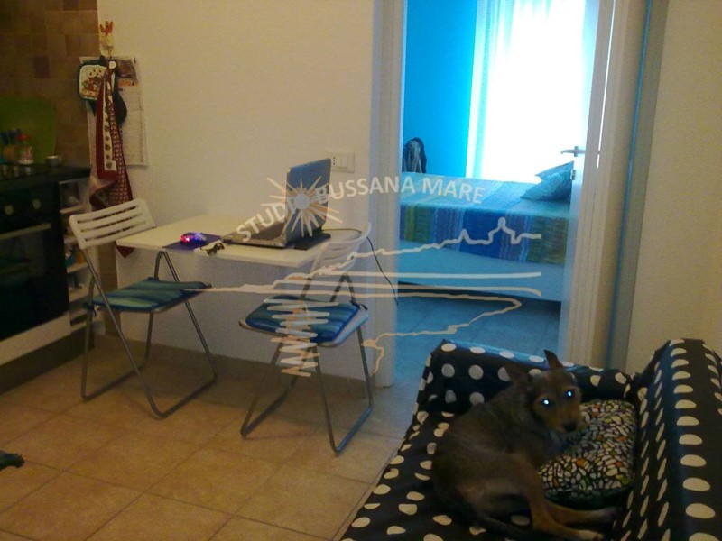 Bilocale in Vendita a Sanremo, zona Bussana, 110'000€, 35 m²