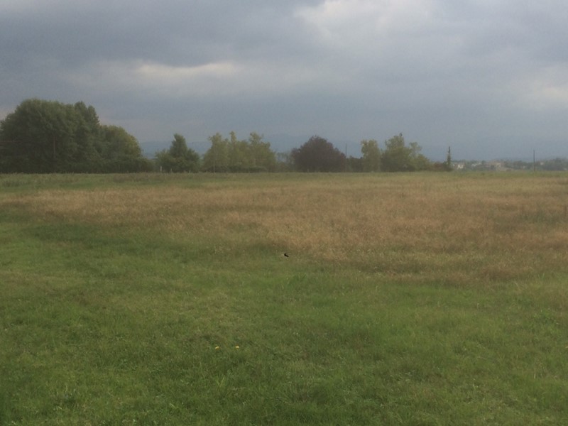 Terreno agricolo in Vendita a Noceto, 260'000€, 550 m²