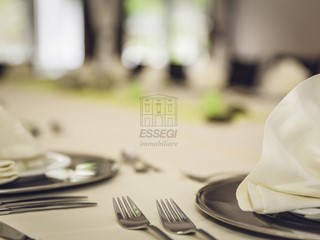 Attività commerciale in Vendita a Lucca, zona Centro storico, 250'000€, 175 m², arredato