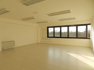 Ufficio in Affitto a Lucca, zona Est, 1'750€, 250 m²