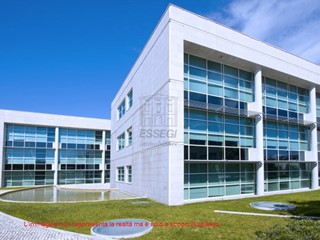 Capannone in Vendita a Lucca, zona Nord, 1200 m²