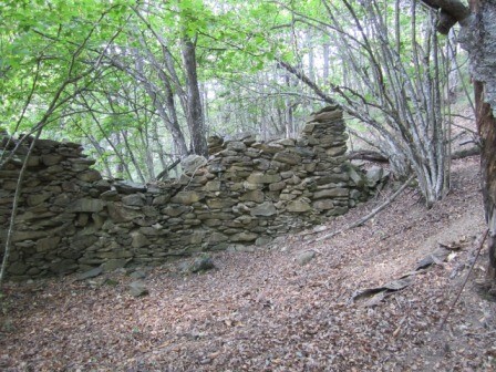 Terreno agricolo in Vendita a Sassello, zona Piampaludo, 40'000€, 120 m²