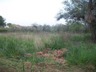 Terreno industriale in Vendita a Treglio, 92'000€, 925 m²