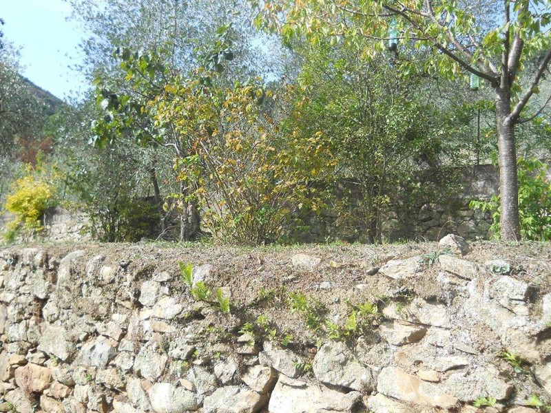 Villa in Vendita a Calci, 350'000€, 285 m²