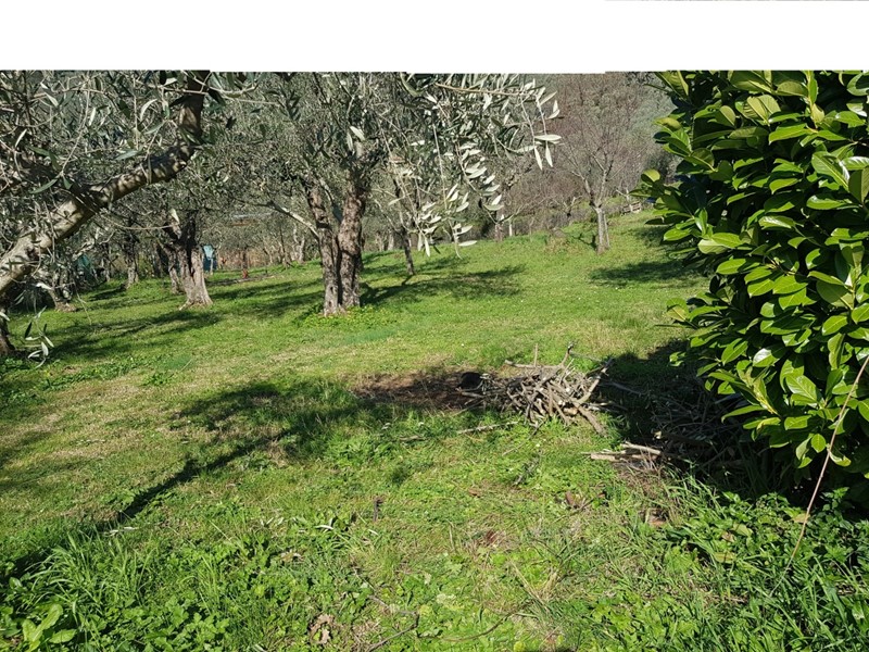 Villa in Vendita a Calci, 385'000€, 260 m², con Box