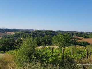 Terreno agricolo in Vendita a Perugia, zona Boneggio, 79'000&euro;, 48500 m²