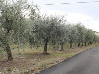 Terreno agricolo in Vendita a Lanciano, 98'000€, 1200 m²