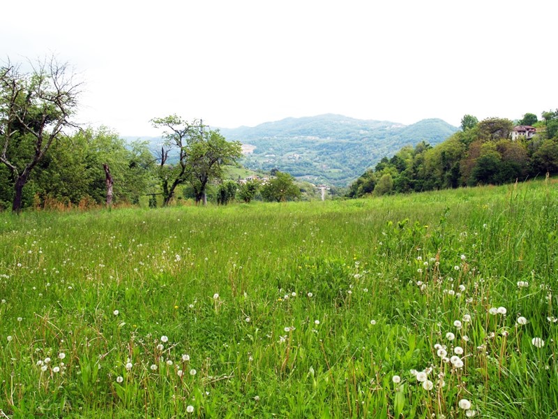 Terreno agricolo in Vendita a Chiampo, 130'000&euro;, 30000 m²