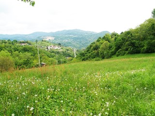 Terreno agricolo in Vendita a Chiampo, 130'000&euro;, 30000 m²