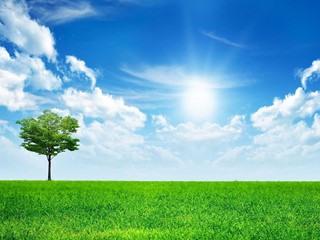 Terreno edificabile in Vendita a Arzignano, 180'000€, 500 m²