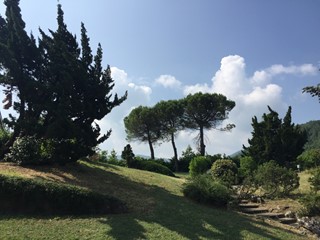 Casa Indipendente in Vendita a Vernasca, 300 m², con Box