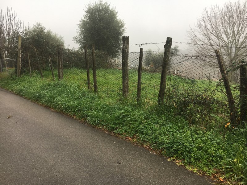 Terreno agricolo in Vendita a Sacrofano, 15'000€, 1150 m²