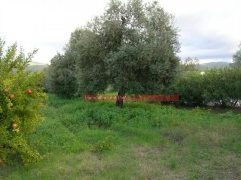 Casa Indipendente in Vendita a Bibbona, zona Marina Di Bibbona, 900'000€, 300 m²