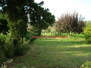 Casa Indipendente in Vendita a Bibbona, zona Marina Di Bibbona, 900'000€, 300 m²