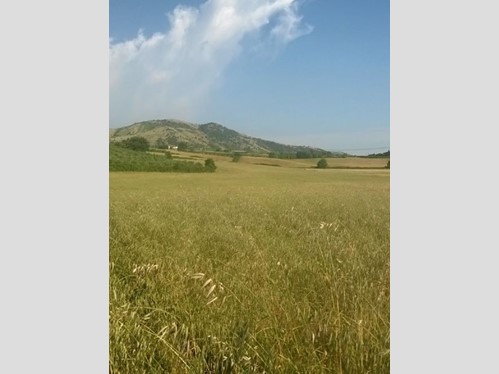 Terreno agricolo in Vendita a Artena, 75'000€, 18000 m²