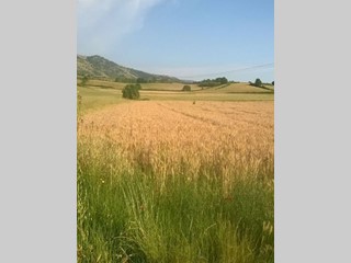 Terreno agricolo in Vendita a Artena, 75'000€, 18000 m²