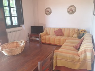 Casa Indipendente in Affitto a Viareggio, zona Torre del Lago, 120 m²