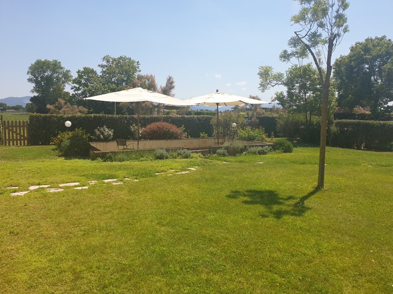 Casa Indipendente in Affitto a Viareggio, zona Torre del Lago, 60 m²