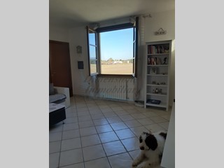 Trilocale in Vendita a Rosignano Marittimo, zona Vada, 165'000€, 65 m²