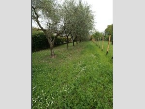 Terreno agricolo in Vendita a Ameglia, zona Cafaggio, 65'000&euro;, 25 m²
