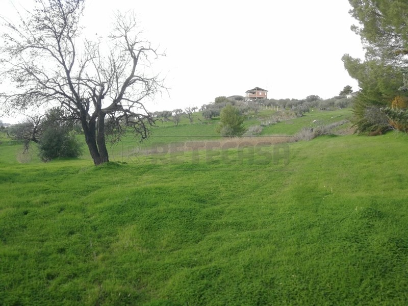 Terreno agricolo in Vendita a Caltanissetta, 25'000€, 3560 m²