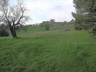 Terreno agricolo in Vendita a Caltanissetta, 25'000€, 3560 m²