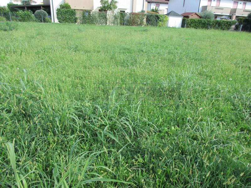 Terreno edificabile in Vendita a Villanova di Camposampiero, zona Mussolini, 100'000€, 1021 m²