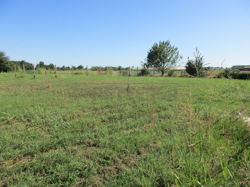 Terreno edificabile in Vendita a Borgoricco, zona SAN MICHELE DELLE BADESSE, 220'000€, 1190 m²