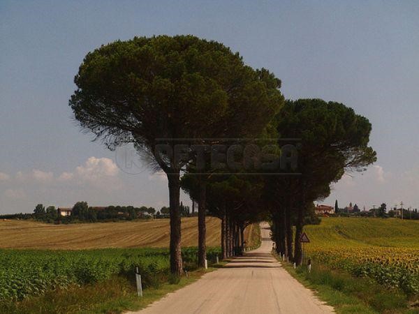 Villetta a schiera in Vendita a Sovicille, zona San Rocco a Pilli, 485'000€, 200 m², con Box