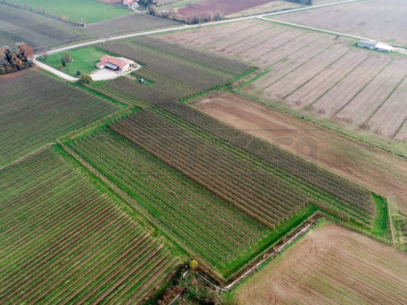 Attività commerciale in Vendita a Mortegliano, zona Chiasiellis, 507 m²