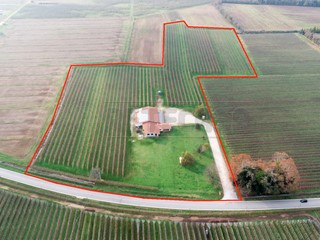 Attività commerciale in Vendita a Mortegliano, zona Chiasiellis, 507 m²