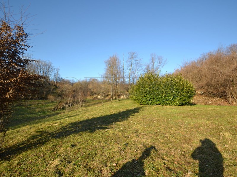Terreno agricolo in Vendita a Valdagno, zona ZOVO, 19'000€, 6629 m²