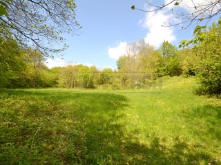 Terreno agricolo in Vendita a Valdagno, zona ZOVO, 19'000€, 6629 m²