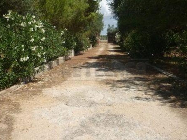 Casa Indipendente in Vendita a Gallipoli, zona GALLIPOLI C.DA CASTELLANA, 260'000&euro;, 250 m², con Box