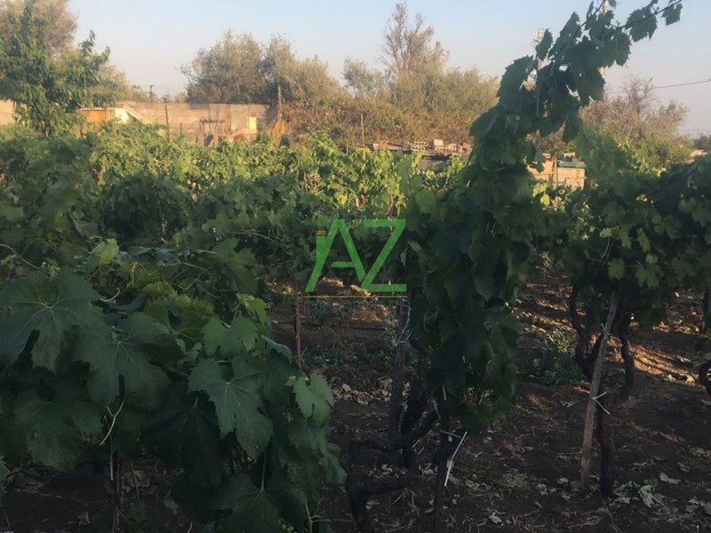 Terreno agricolo in Vendita a Tremestieri Etneo, 45'000€, 950 m²