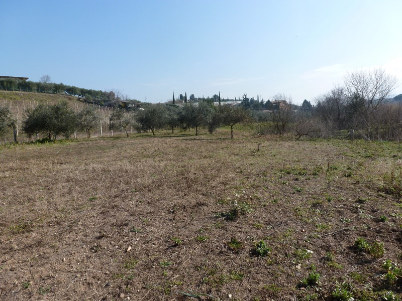 Terreno agricolo in Vendita a Frascati, 78'000€, 5400 m²