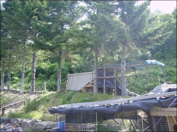 Casa Indipendente in Vendita a Vernio, zona I Falconi, 350'000€, 500 m², con Box