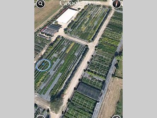 Terreno agricolo in Vendita a Lucca, 30000 m²