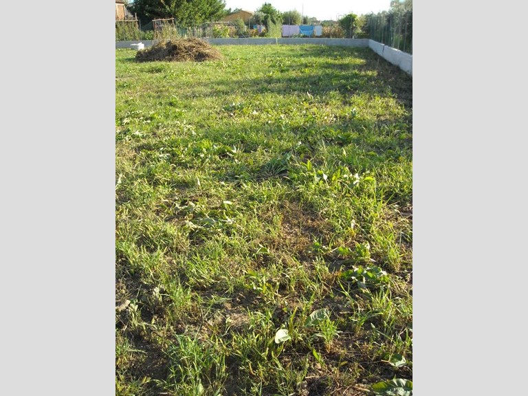 Villa in Vendita a Pieve a Nievole, 600'000&euro;, 400 m², con Box