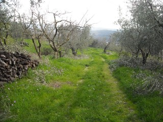 Terreno agricolo in Vendita a Montale, 250'000€, 16000 m²