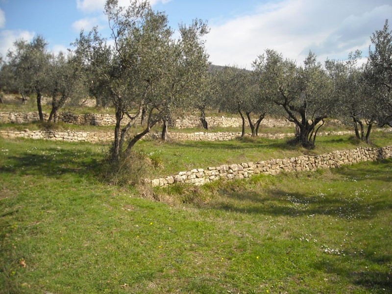 Terreno agricolo in Vendita a Pistoia, zona Santomato, 140'000€, 20000 m²