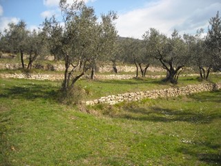 Terreno agricolo in Vendita a Pistoia, zona Santomato, 140'000€, 20000 m²