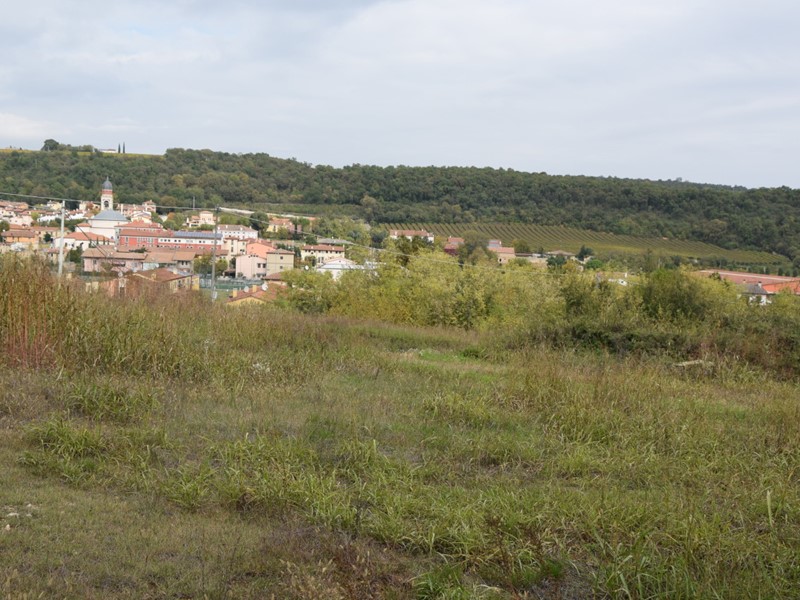 Terreno edificabile in Vendita a Alonte, 1232 m²