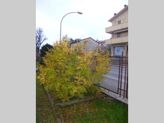 Appartamento in Vendita a Castelplanio, zona Macine-borgo Loreto, 52'000€, 70 m², con Box