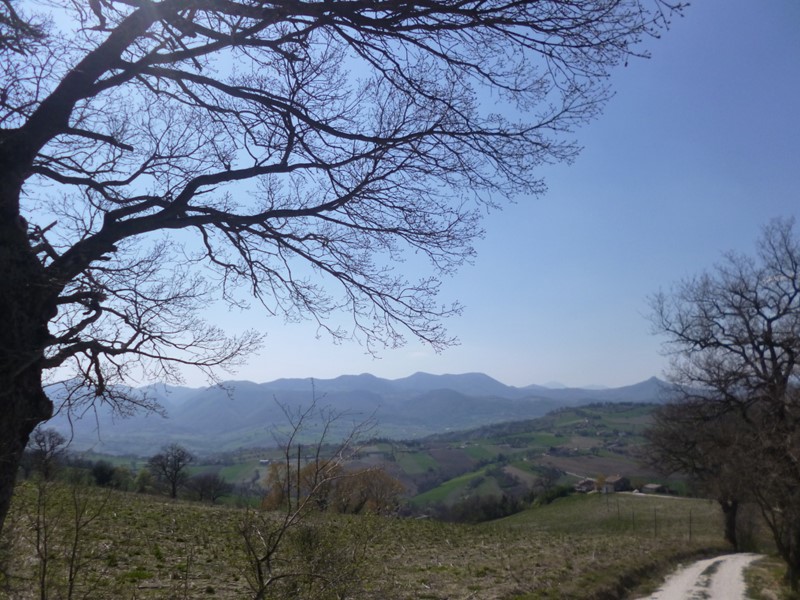 Casale in Vendita a Apiro, 400 m²