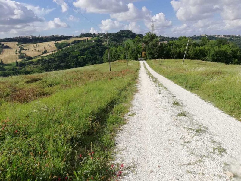 Terreno agricolo in Vendita a Cupramontana, 125'000€, 80000 m²