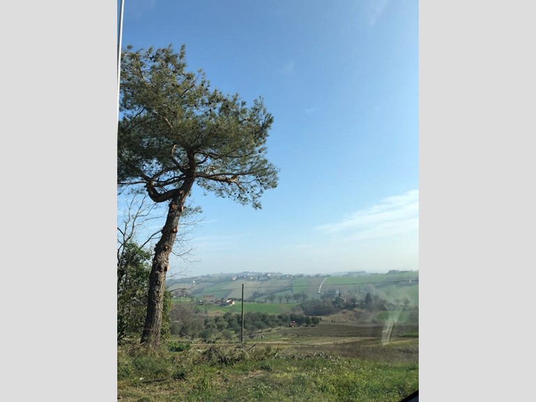 Quadrilocale in Vendita a Santa Maria Nuova, zona Collina, 98'000€, 76 m², con Box